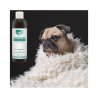 BIO Hundeshampoo - Sensibel