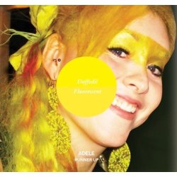 Günstig Directions Haarfarben kaufen Schweiz